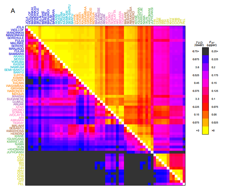 Figure 2A. Haplotypes capture more population structure than independent loci. Busby et al, eLife, 2016
